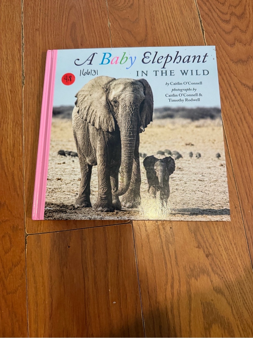 A Baby Elephant in the Wild - Picture Book (Pink Spine)